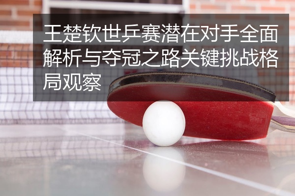 王楚钦世乒赛潜在对手全面解析与夺冠之路关键挑战格局观察