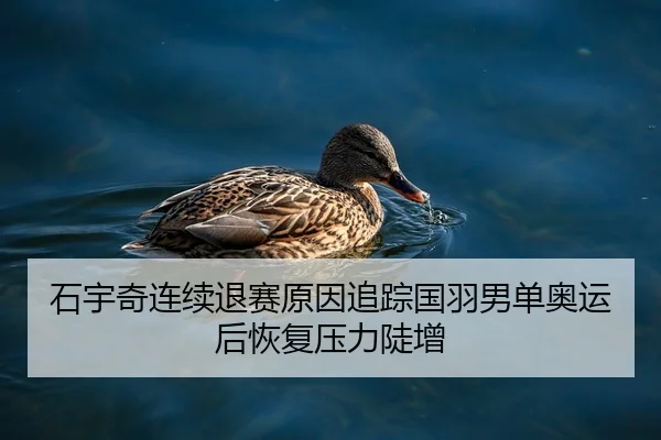 石宇奇连续退赛原因追踪国羽男单奥运后恢复压力陡增